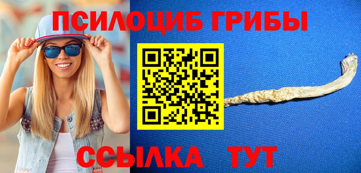 Галлюциногенные грибы MAGIC MUSHROOMS Кулебаки